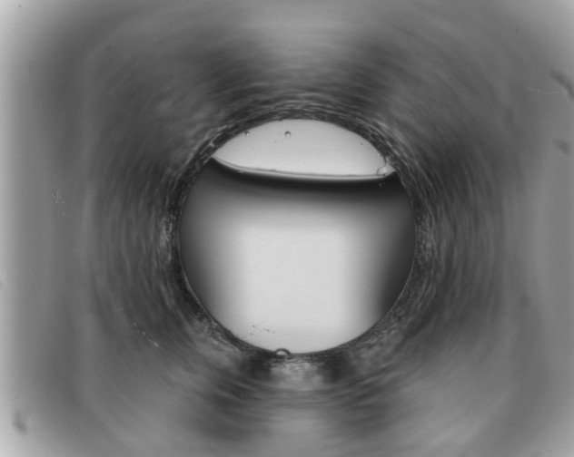 X0000091530759200708170950