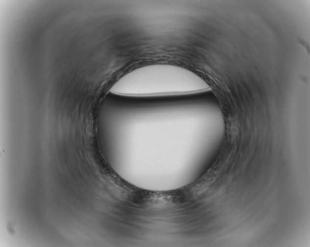 X0000091530760200708170950
