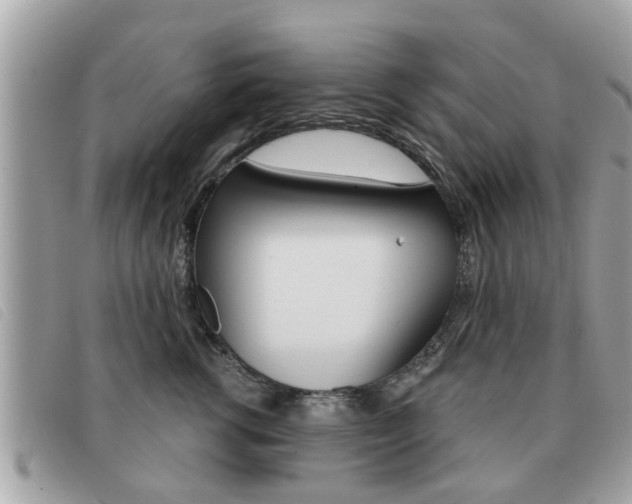 X0000091530762200708170950