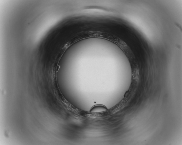 X0000091530763200708170950