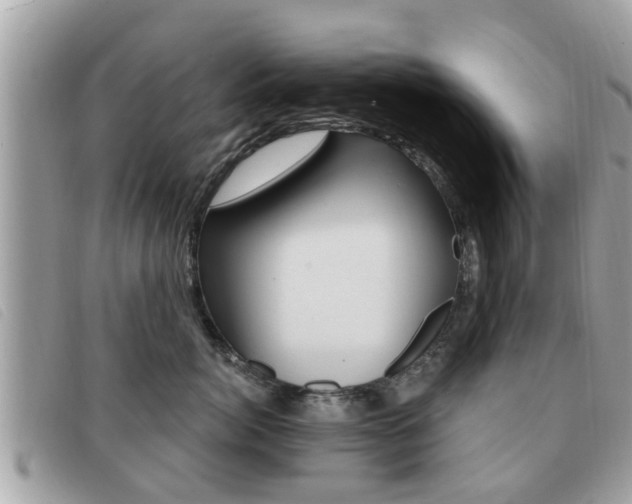 X0000091530764200708170950
