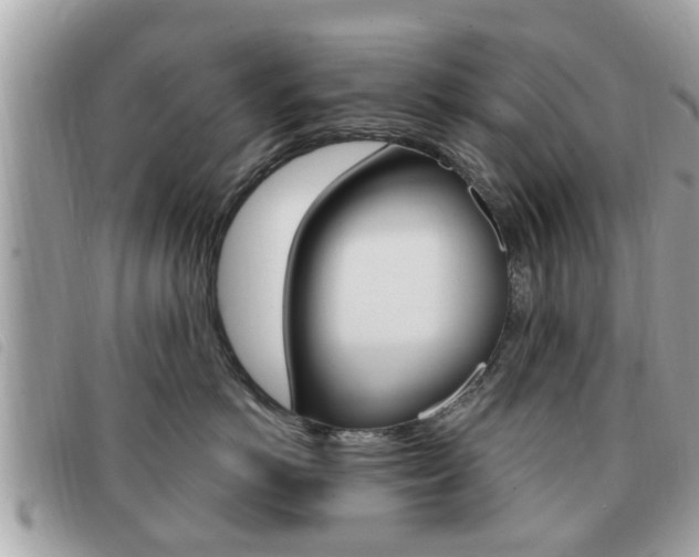 X0000091530766200708170950