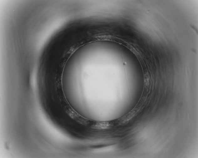 X0000091530767200708170950