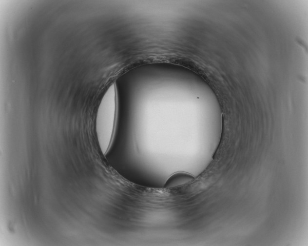 X0000091530768200708170950