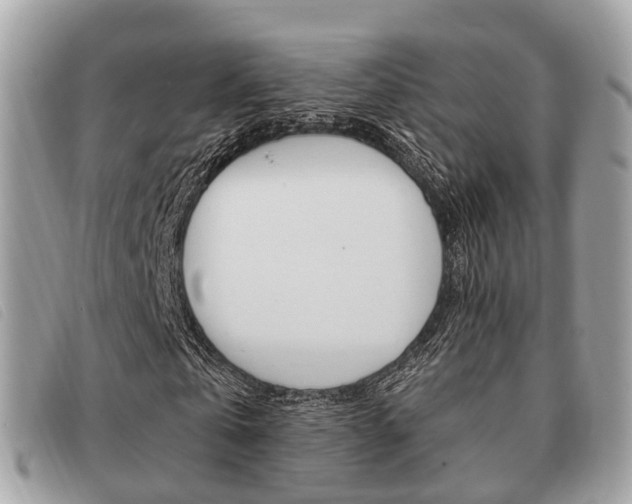 X0000091530769200708170949