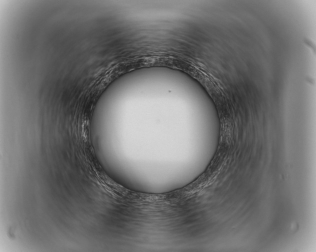 X0000091530770200708170949