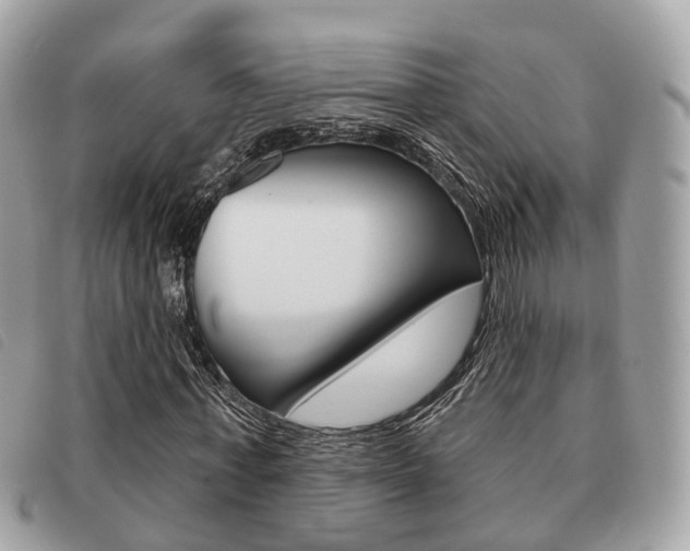 X0000091530771200708170949
