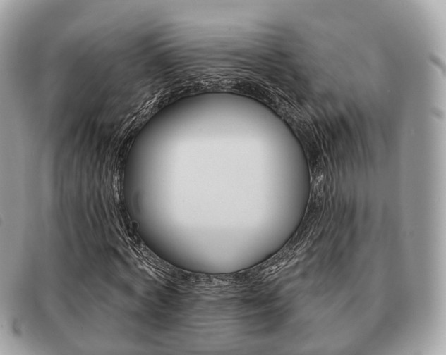X0000091530772200708170949
