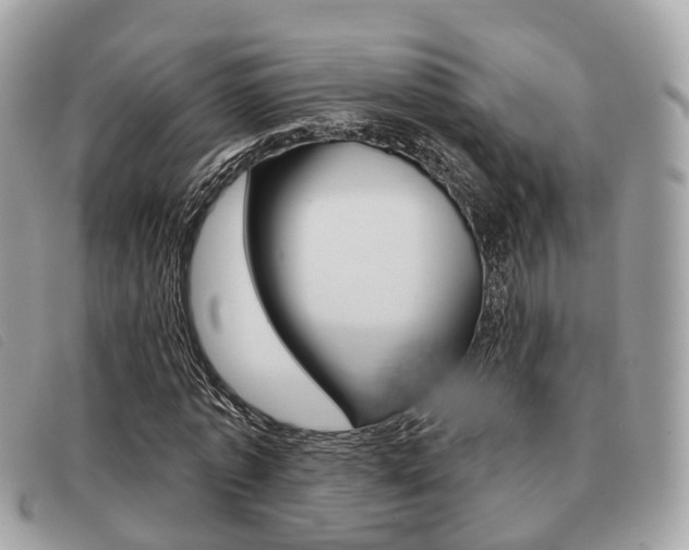 X0000091530773200708170949
