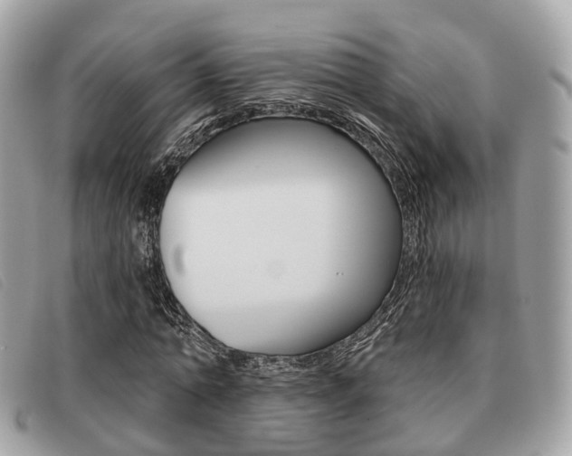 X0000091530774200708170949