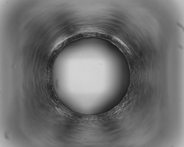 X0000091530775200708170949