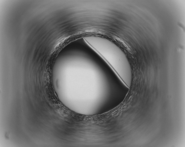 X0000091530776200708170949