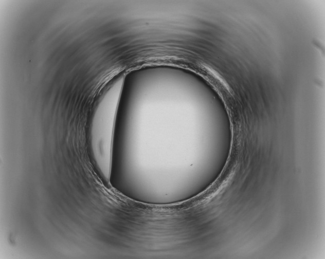X0000091530777200708170949