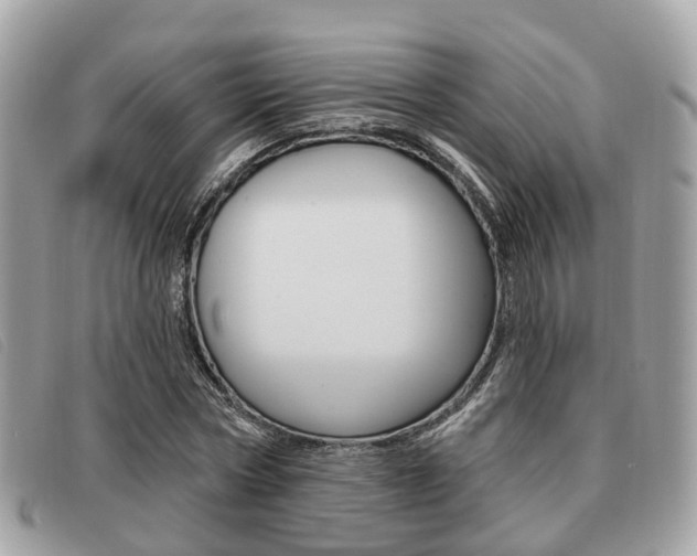 X0000091530778200708170949