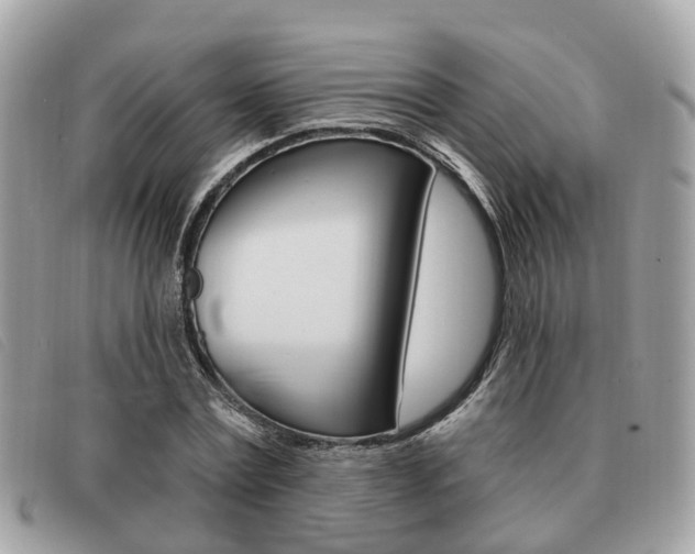 X0000091530779200708170949