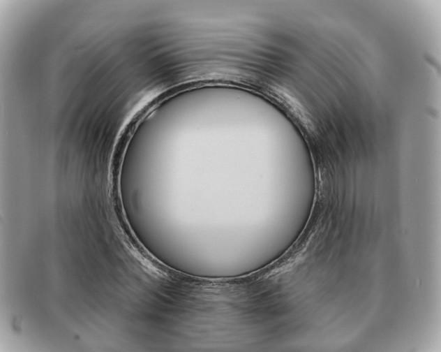 X0000091530780200708170949
