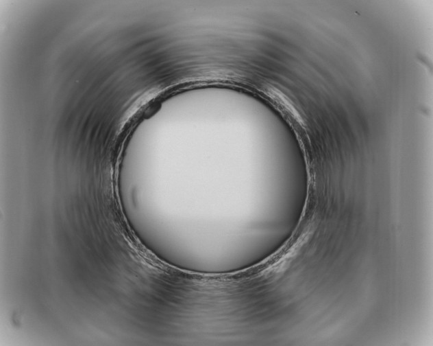 X0000091530781200708170949