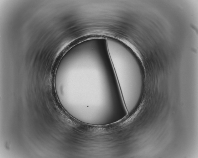 X0000091530783200708170949