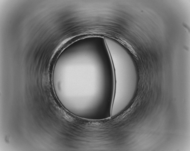 X0000091530784200708170949