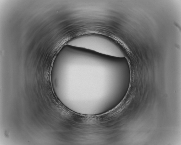 X0000091530785200708170949