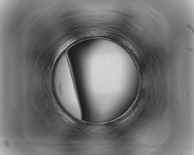 X0000091530786200708170949