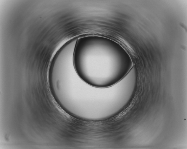 X0000091530788200708170949