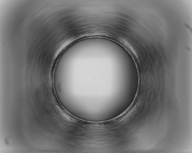 X0000091530789200708170949