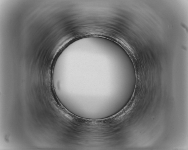 X0000091530790200708170949