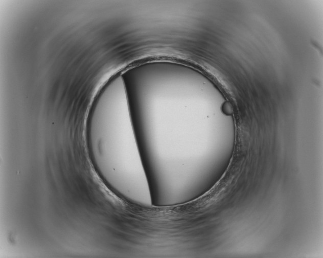 X0000091530791200708170949