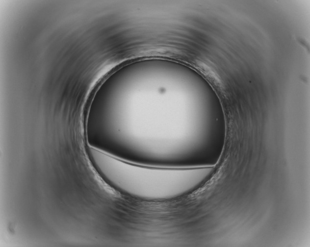X0000091530792200708170949