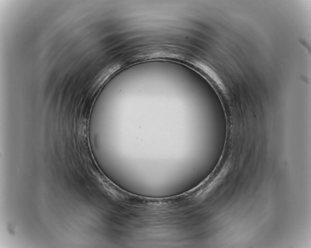 X0000091530793200708170949