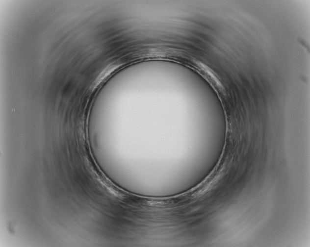 X0000091530794200708170949