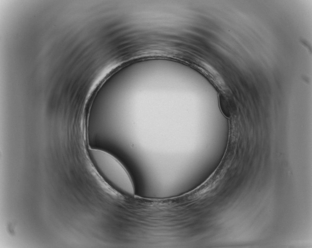 X0000091530796200708170949