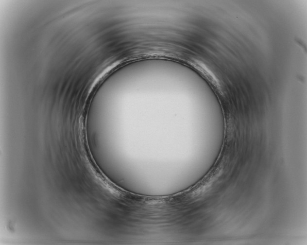 X0000091530798200708170949