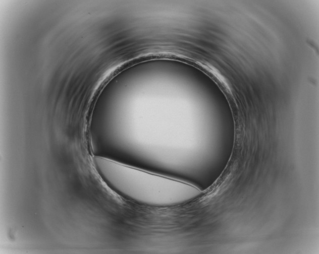 X0000091530799200708170949