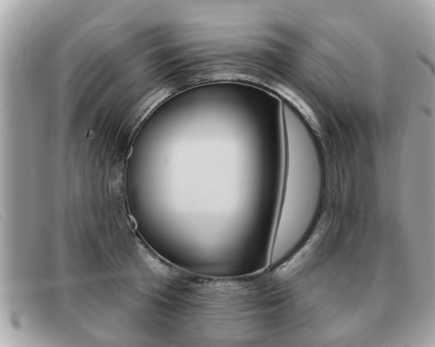 X0000091530801200708170948