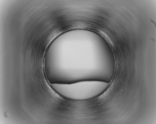 X0000091530802200708170948