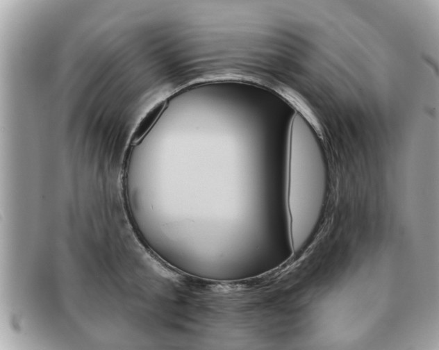 X0000091530805200708170948