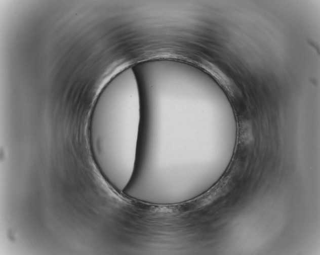 X0000091530806200708170948