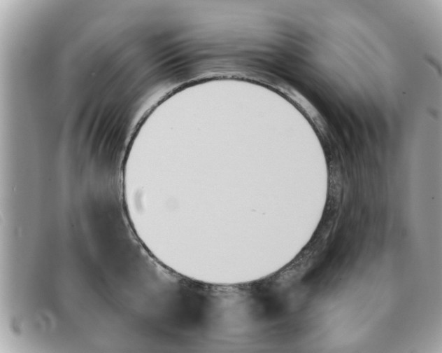 X0000091530807200708170948