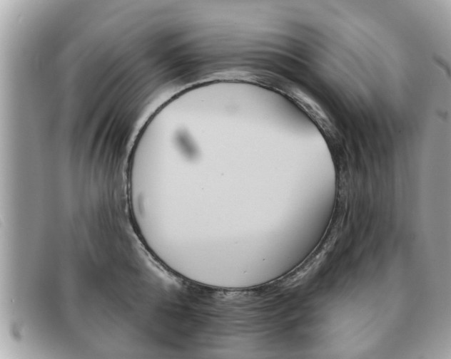X0000091530808200708170948