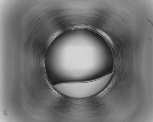 X0000091530809200708170948