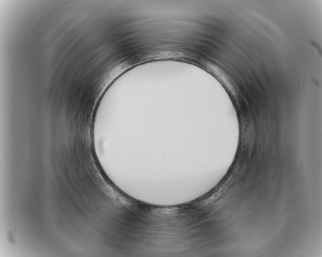 X0000091530810200708170948