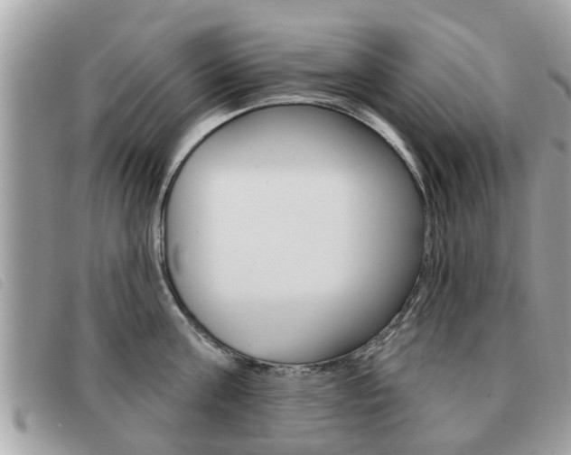 X0000091530811200708170948