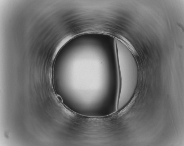 X0000091530812200708170948