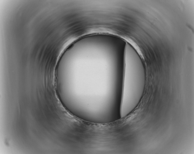 X0000091530815200708170948