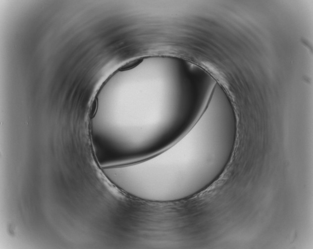 X0000091530816200708170948