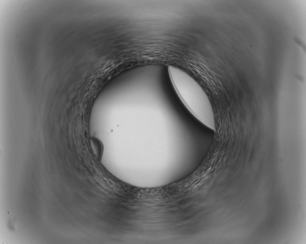 X0000091530817200708170948