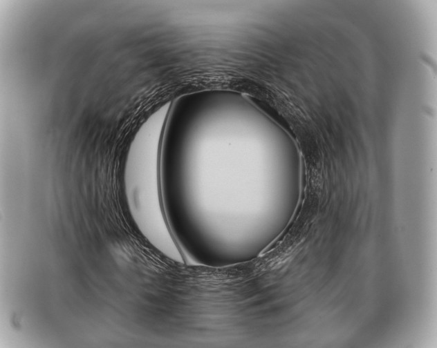 X0000091530818200708170948
