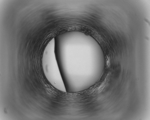 X0000091530819200708170948